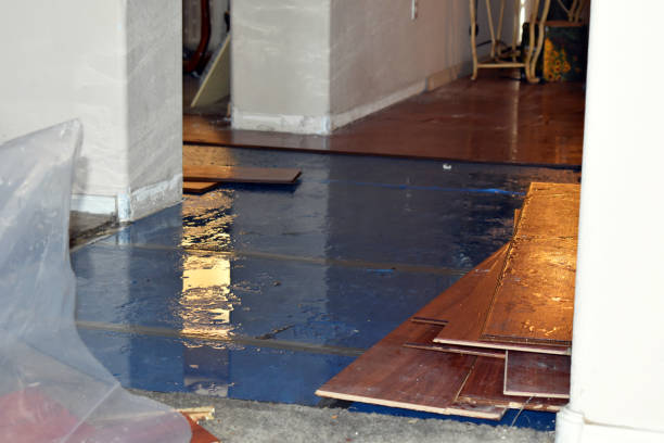 Professional Sewage Cleanup technician working in Higbee, MO