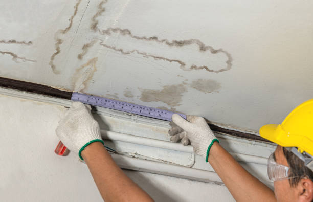 Reliable Sewage Cleanup contractor in Higbee, MO by Water Damage Irwin